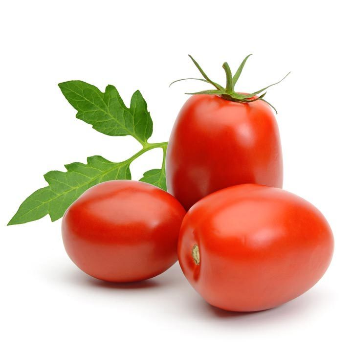 Best quality Fresh Tomato at Cheap price