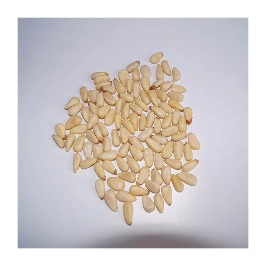 Organic cheap bulk open pine nut/pine seed/pine nuts in shell