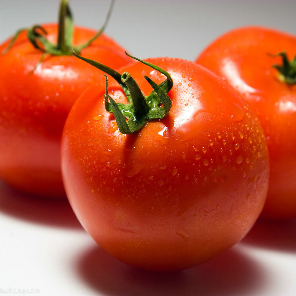 Best quality Fresh Tomato at Cheap price