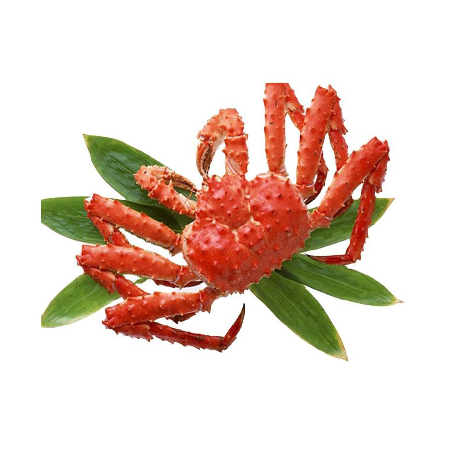 Fresh King Crab Available in wholesale/King Crab Red Frozen King Crab Live Red