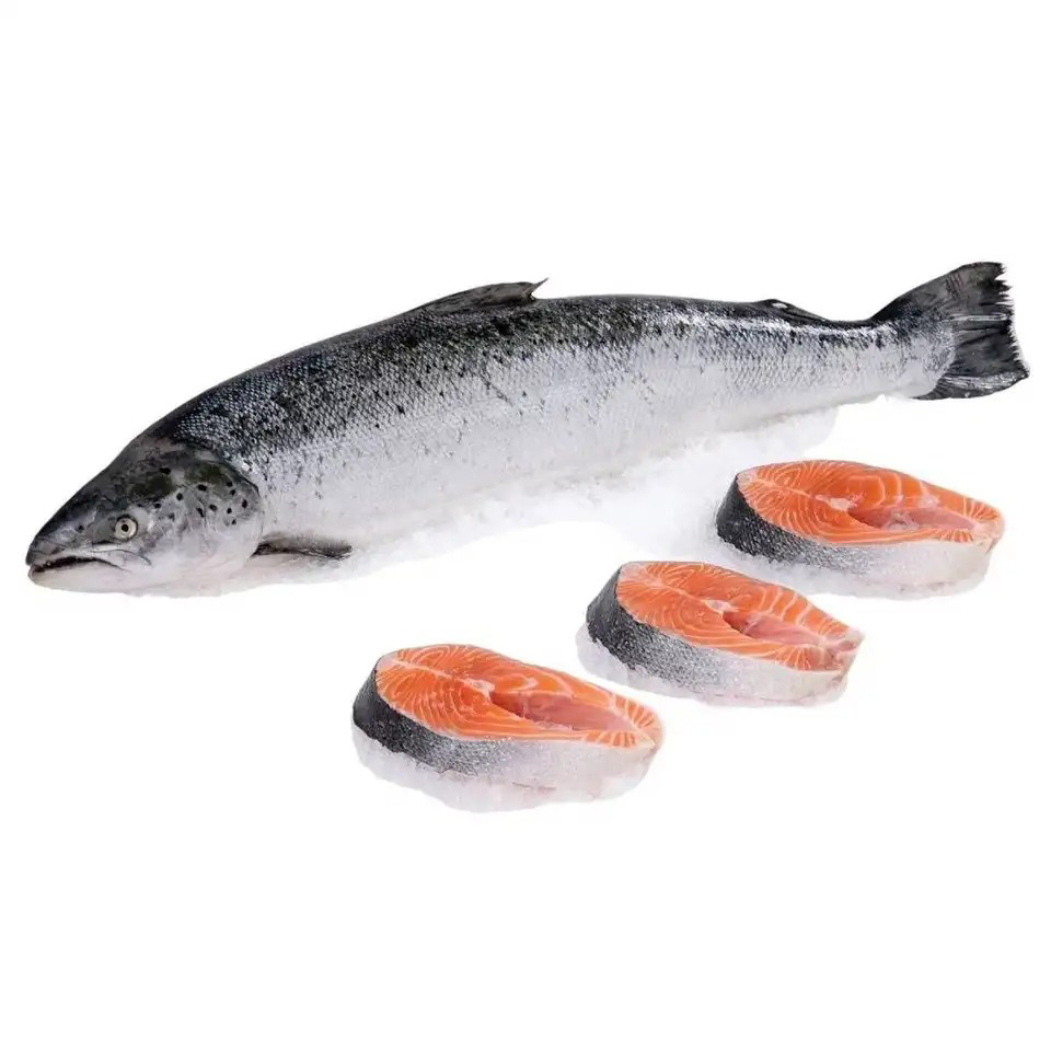 Reasonable Natural Fresh Factory Wholesale Frozen Salmon Fish fresh Salmon Prices