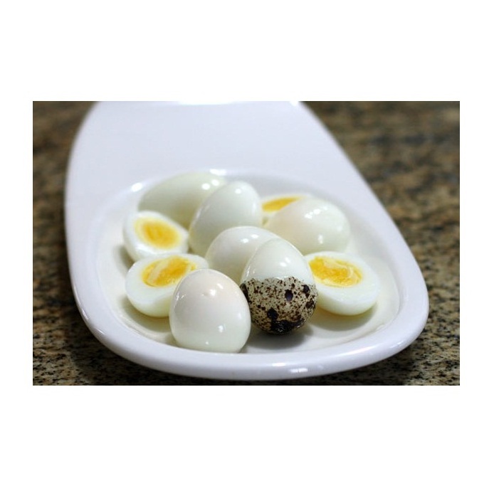 Quail egg factory Fresh quail eggs export for sale