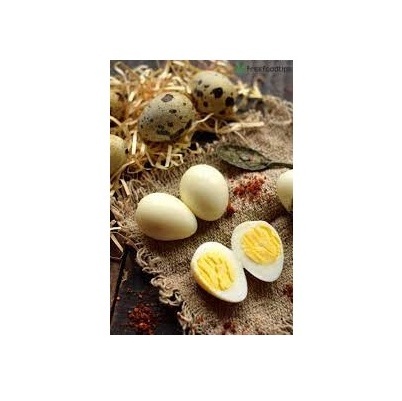 Quail egg factory Fresh quail eggs export for sale