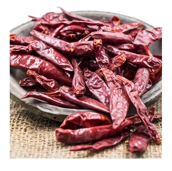 High Quality Hot Red Chili Pepper Good Flavor Dried Chili Pepper Paprika Single Spices & Herbs Wholesale Red Chilli Best Price