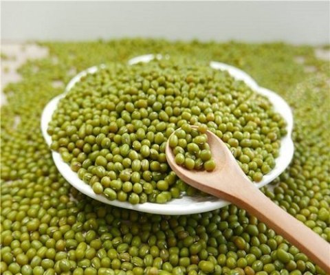 Green Mung Bean for sale