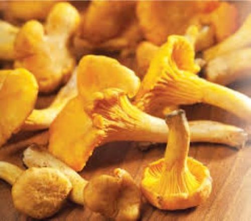 DRIED CHANTERELLES MUSHROOM