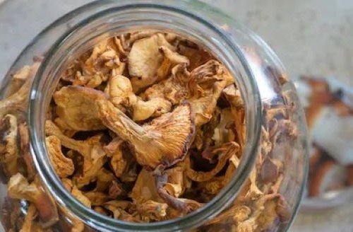 DRIED CHANTERELLES MUSHROOM