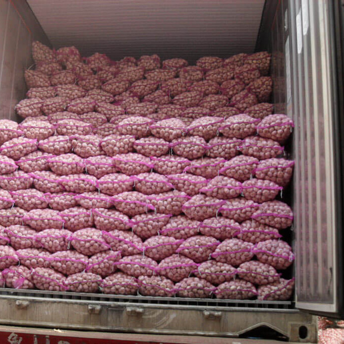 GARLIC 2024 CROP FOR SELL TOP QUALITY DEHYDRATED GARLIC, FROZEN GARLIC, CLOVE WHOLESALE SUPPLIERS PRICE