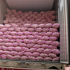 GARLIC 2024 CROP FOR SELL TOP QUALITY DEHYDRATED GARLIC, FROZEN GARLIC, CLOVE WHOLESALE SUPPLIERS PRICE