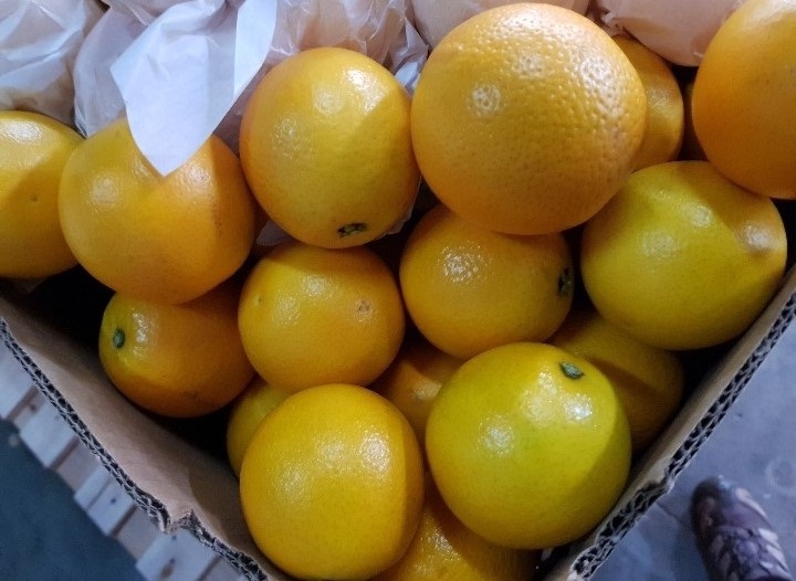 FRESH FRUITS PUMMELO (CITRUS MAXIME) FRESH SOFT CITRUS NOVA (MANDARIN) CLASS I FRESH VALENCIA ORANGE