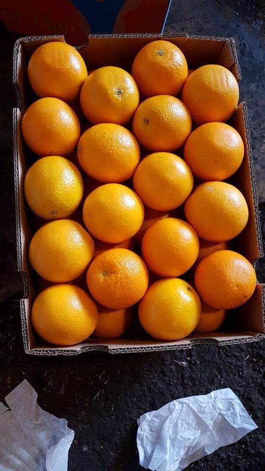 FRESH FRUITS PUMMELO (CITRUS MAXIME) FRESH SOFT CITRUS NOVA (MANDARIN) CLASS I FRESH VALENCIA ORANGE