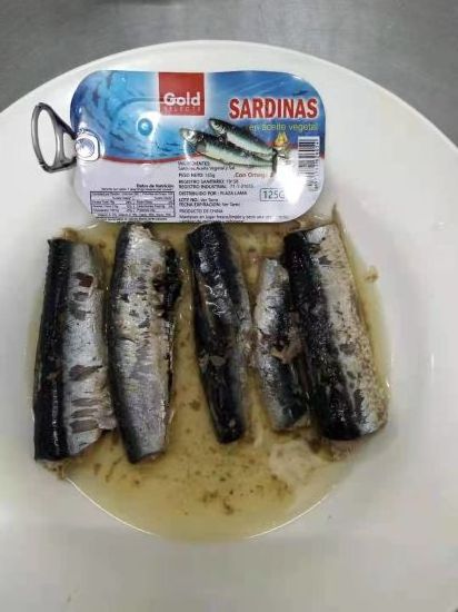 Canned seafood for sale,125g 155g 425g 200g Tinned Quality Sardine in Vegetable Oil ,Thailand, Kuwait buyer Supplier fish