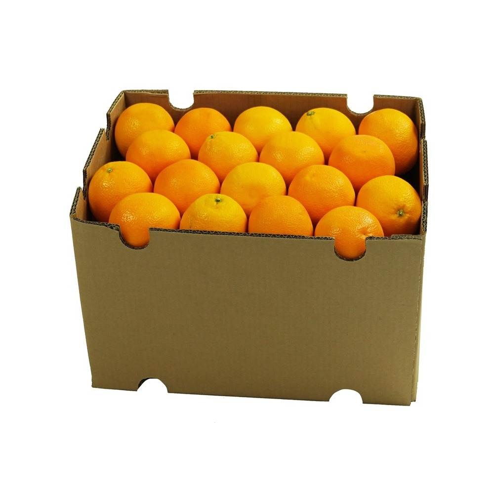 FRESH FRUITS PUMMELO (CITRUS MAXIME) FRESH SOFT CITRUS NOVA (MANDARIN) CLASS I FRESH VALENCIA ORANGE