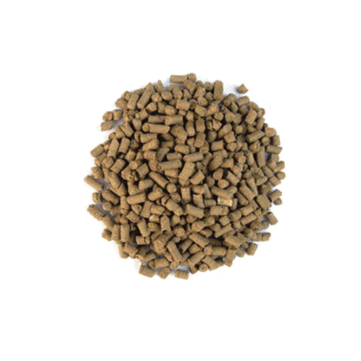 Feed Corn  Animal Feed Yellow Corn Bran Gluten Feed Price