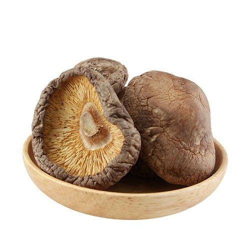 Thailand Frozen mushrooms best quality