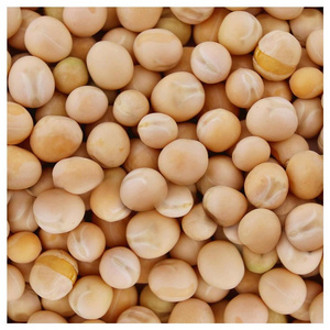 Green or Yellow Peas Crop Bulk Style Storage Packaging Newest Color Shelf Natural Origin Type Hight Life Heat Dried