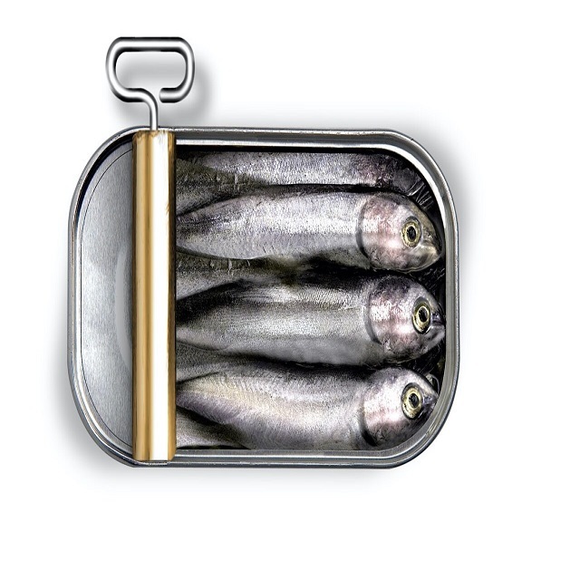 Canned Fish Sardines Mackerel Seafood in Vegetable Oil Tomato Sauce Quality Products France