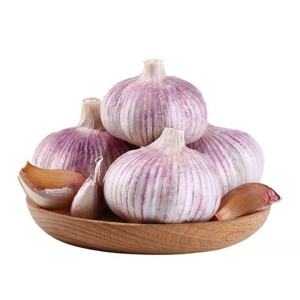 Wholesale Premium High Grade Quality Fresh Normal White Red Garlic Price in Germany Supplier Sale by Bulk