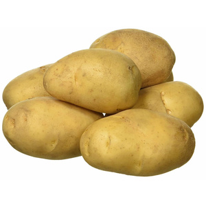 Fresh Potatoes from Bangladesh High Quality 100 Yellow Long Style Color Weight Origin Type Shape Flesh Size Product