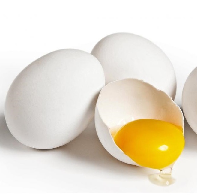 High Quality Fresh Chicken Eggs / Round Table Eggs for Sale / fertile hatching eggs Cheap price