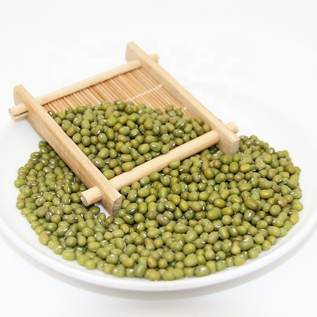 2024 High Quality Green Mung Beans / Whole Moong Beans Available For Sale At Low Price