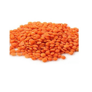 Red Lentils quality characteristics correspond to the Interstate standard healthy legume, lentils wholesale Price