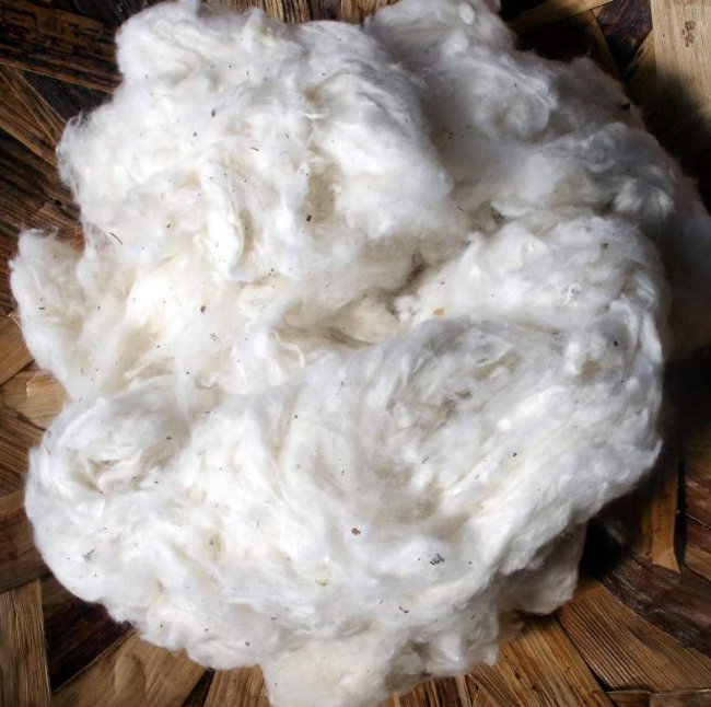 Cheap price Cotton Yarn / Cotton Fiber Buy 100% raw organic cotton