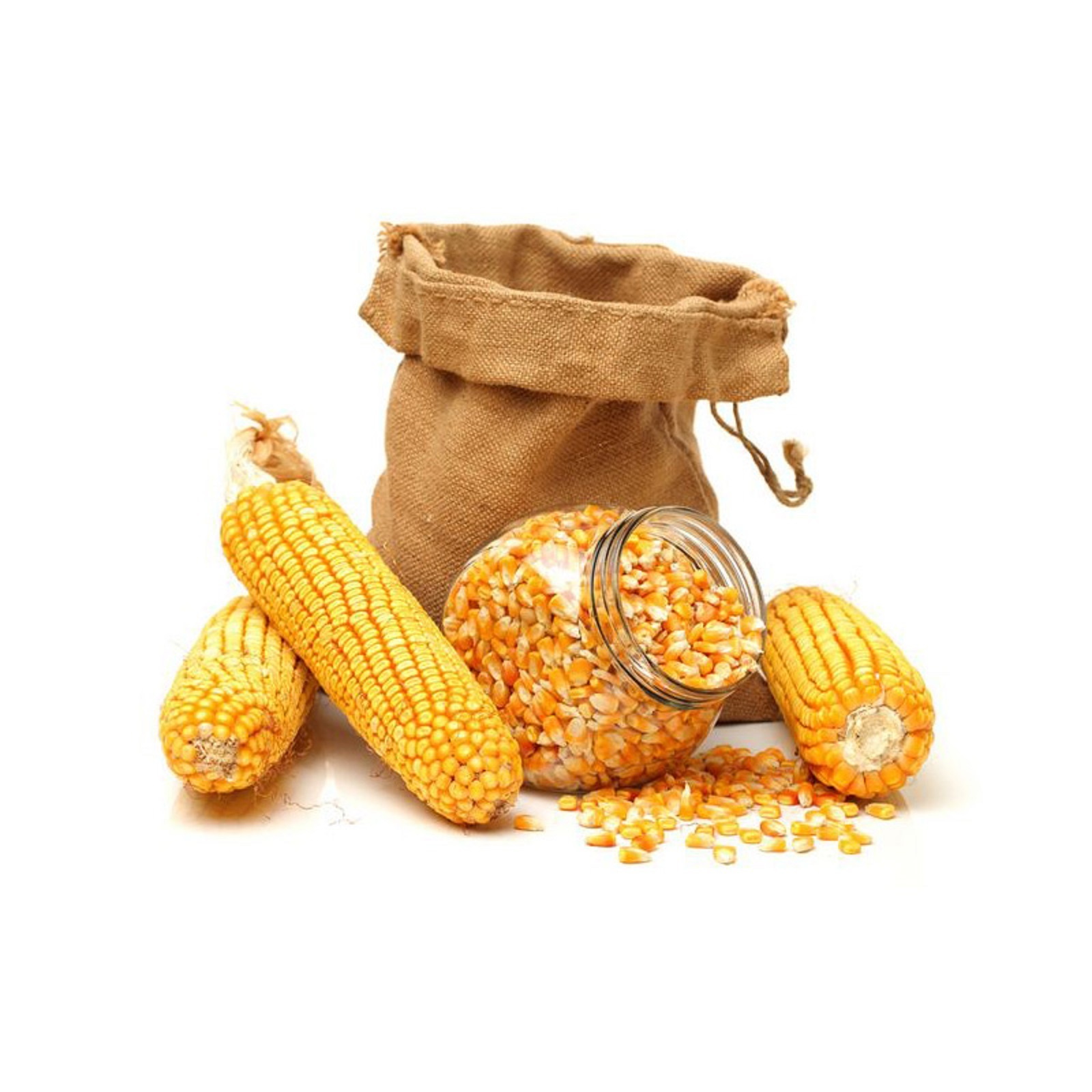 Maize Factory Price Frozen Sweet Corn Cob Frozen Maize Non GMO Yellow Maize Corn