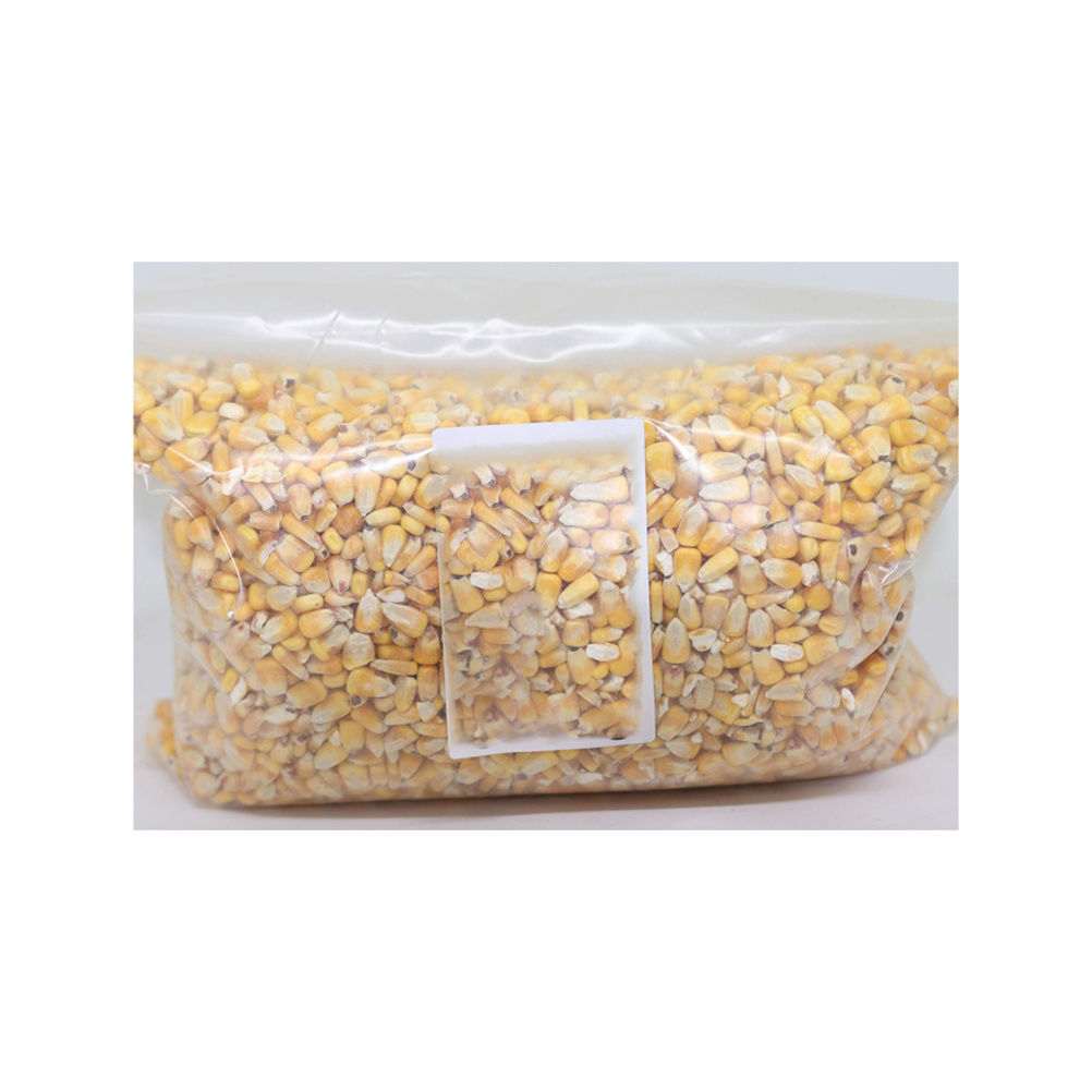 Top Sale yellow seed popcorn maize non-gmo best popcorn Kernels popping corn raw maize seeds organic popping corn for sale