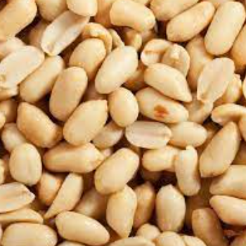 Wholesale Blanched Peanuts Raw Peanut Price