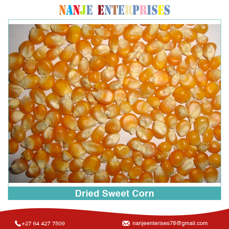 2022 Crop New Arrival Huge Demand Natural Organic Yellow Dried Sweet Corn