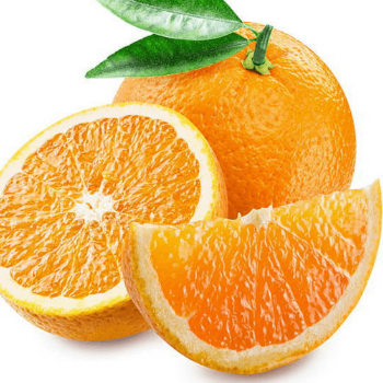 Orange Valencia Orange Fresh Fruits High Quality Fresh Organic Orange