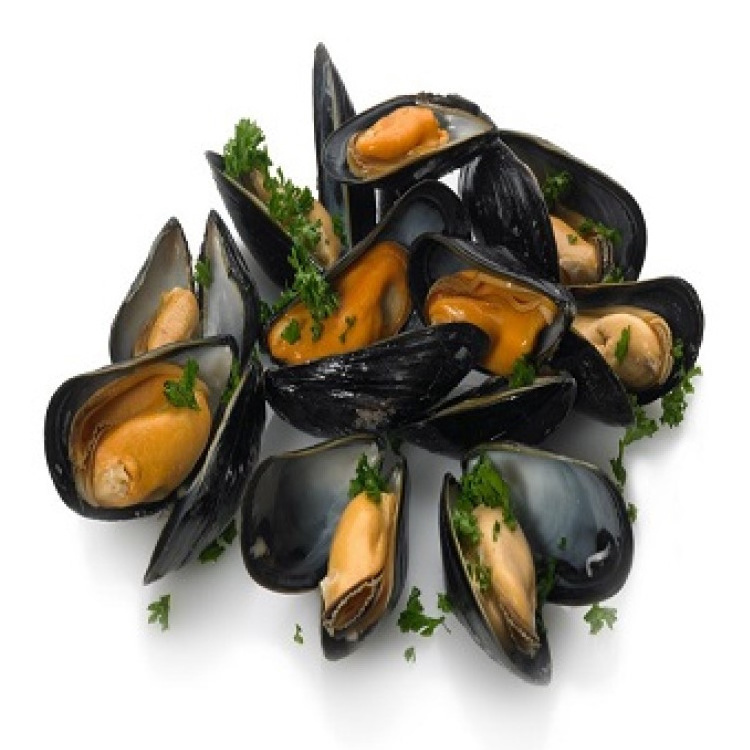 Superb Quality 2022 Fresh IQF Top Selling Frozen Mussels Meat at Low Market Price