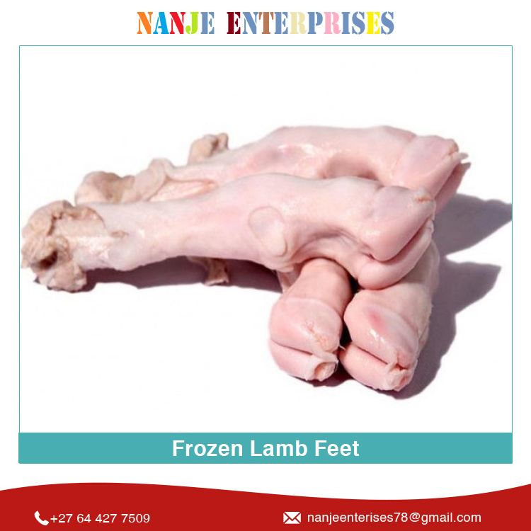 Worldwide Demand Superb Garde Food Material Certified Quality Frozen Whole Frozen Lamb Feet for Sale