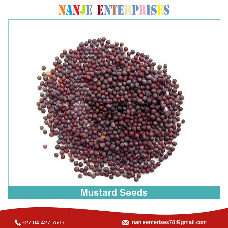 New Arrival Fresh Quality 2022 Crop Bulk Selling Natural Organic Yellow Mustard Seeds mustard seed black