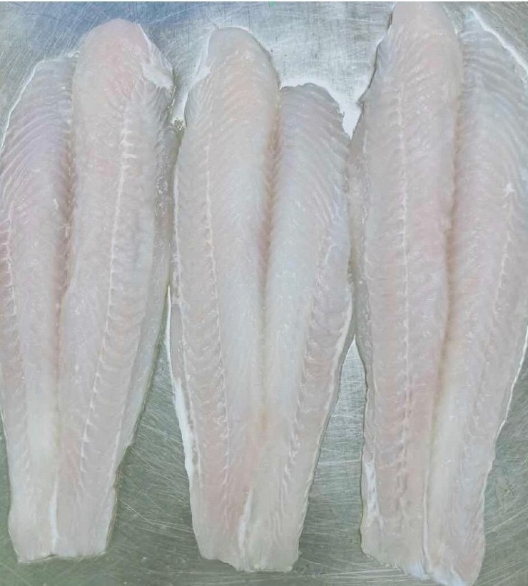 frozen john dory fillet