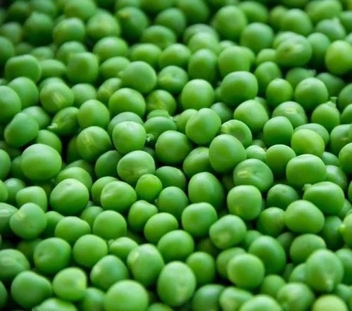 High Quality  Frozen Green Peas