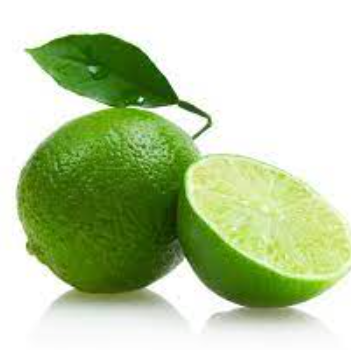 Fresh Citrus Fruit Supplier Seedless Lime Lemon Green Lemon On The Market