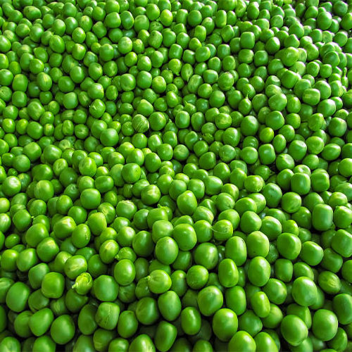 High Quality  Frozen Green Peas