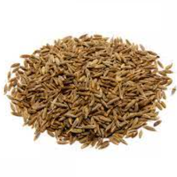 Premium Quality Cumin Indian Origin South Africa European Grade Spice and Herbs at Wholesale Prices For Export