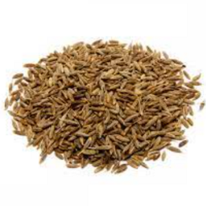 Premium Quality Cumin Indian Origin South Africa European Grade Spice and Herbs at Wholesale Prices For Export