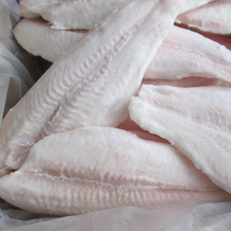 frozen john dory fillet