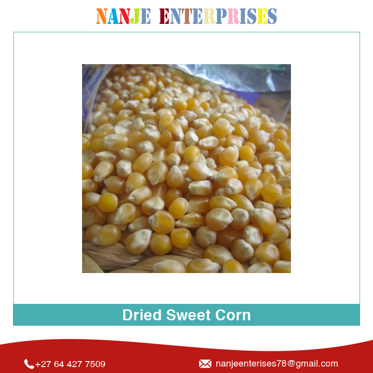 2022 Crop New Arrival Huge Demand Natural Organic Yellow Dried Sweet Corn