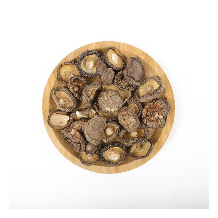 2022 Bulk Selling Freeze Dried Healthy Food Frozen Shiitake Mushroom at Wholesale Price