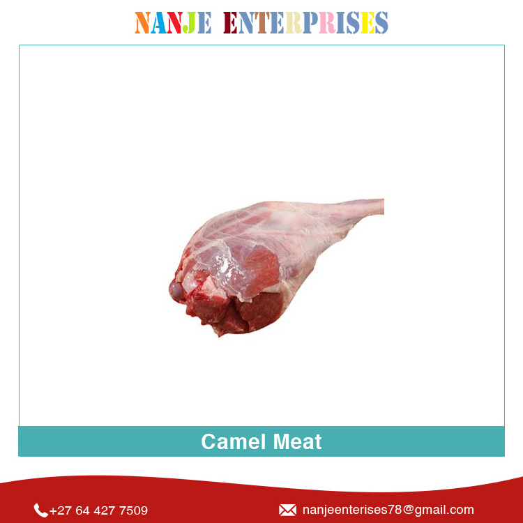 Boneless Certified Quality Top Quality South African Supplier of Food Grade Camel Meat