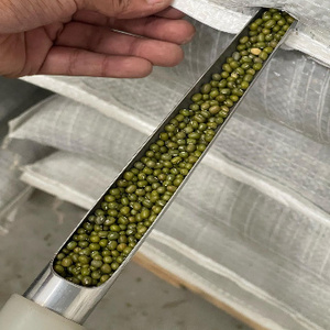 Best Seller Green Giant Mung Beans