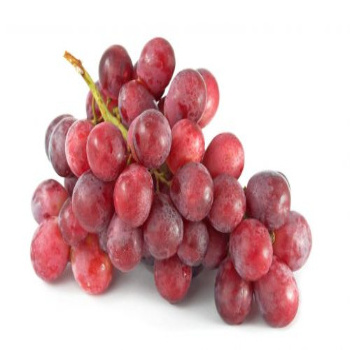 Fresh Red Crimson Grape Green Grape Export Quality from South Africa America Europe New Crop IQF