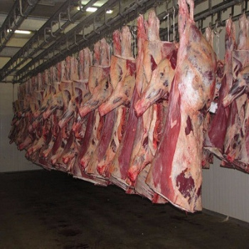 Wholesale Halal Buffalo Boneless Frozen Meat Frozen Beef ,cow meat, beef meat Factory Price