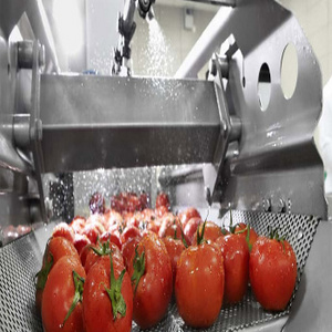 High Quality Cheap Priced Organic Fresh Beef, Cherry Plum Fresh Tomatoes factory price