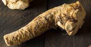 Dehydrated  Dried Horseradish Root & Powder For Sale